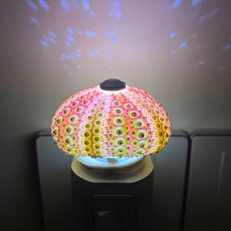 UrchinGlow | DIY Sea Urchin Night Light