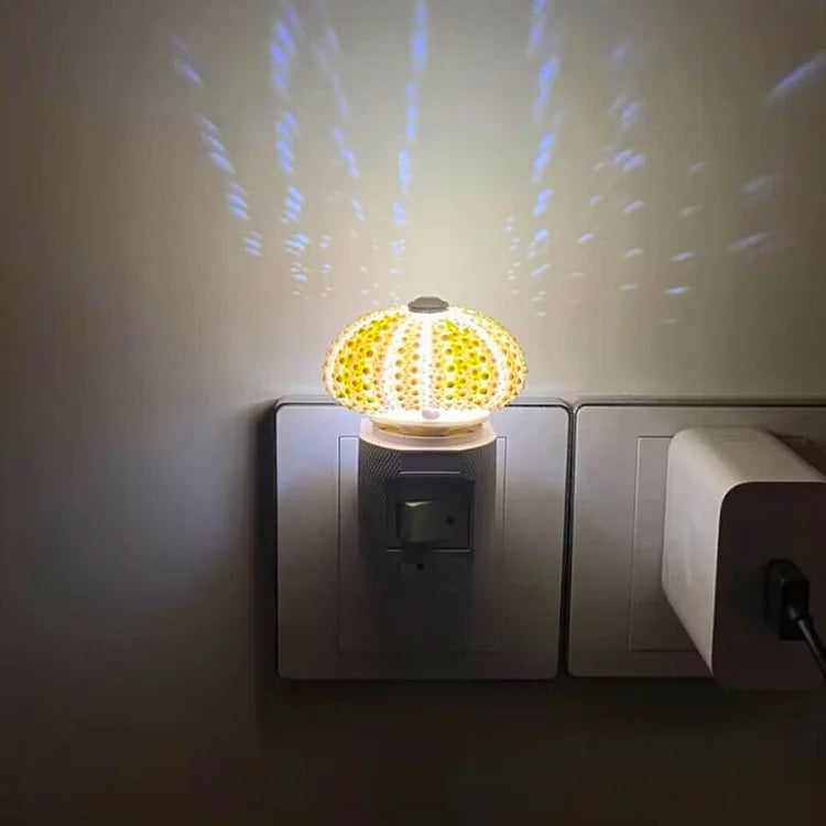 UrchinGlow | DIY Sea Urchin Night Light