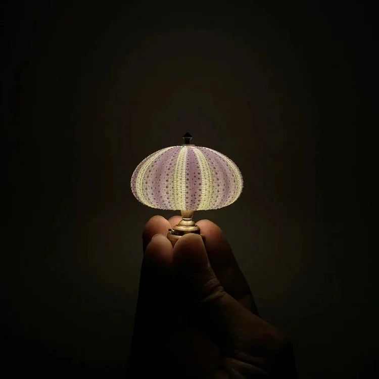 UrchinGlow | DIY Sea Urchin Night Light