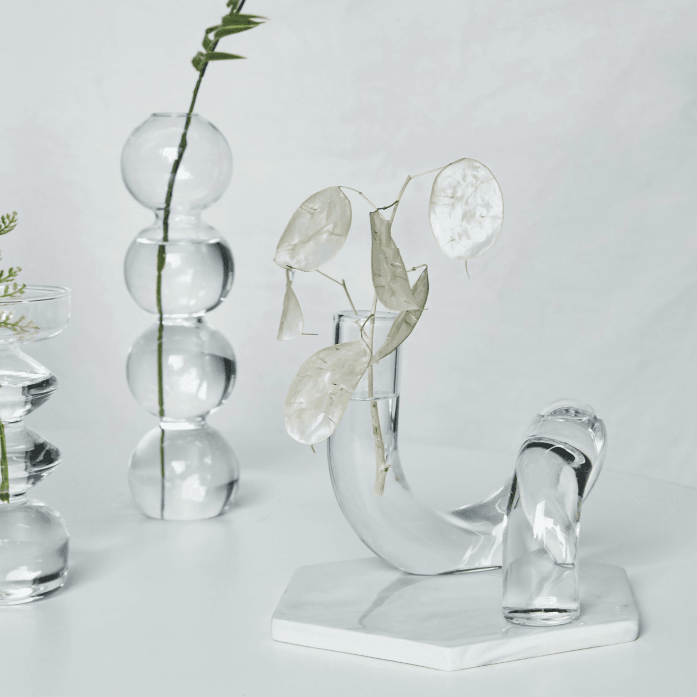 Botanic Halo | Chic Circle Vase