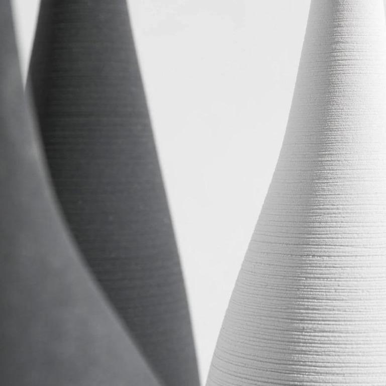 Sculpted Simplicity | Ultra-Slim Gamma Vases