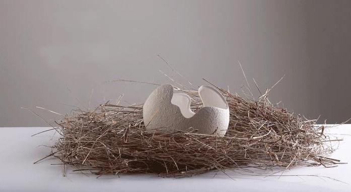 EggVase | Cracked Egg Ceramic Vase