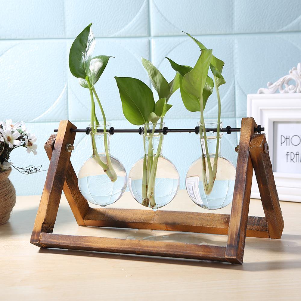 Green Haven | Glass Tube Vase